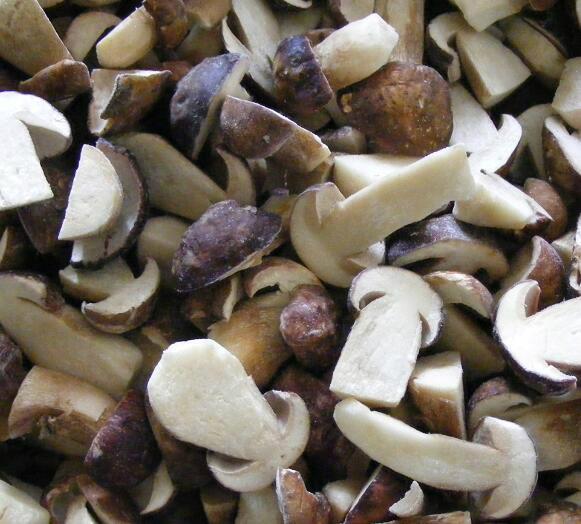 _2025-06-24_172233_866