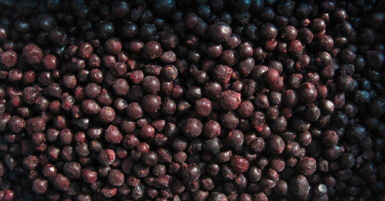 CMS20081161055691447