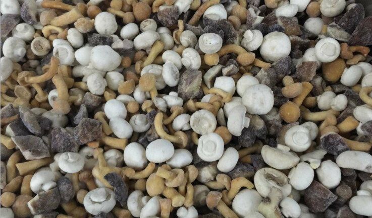 Frozen-Mixed-Mushrooms