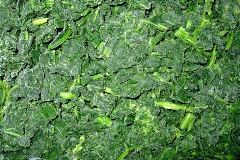 SPINACH1CM CHOPPED