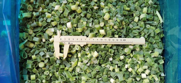 Spring onion slices (1)