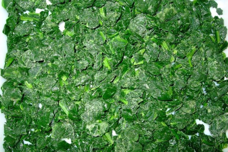 chopped frozen spinach(15x15mm)02