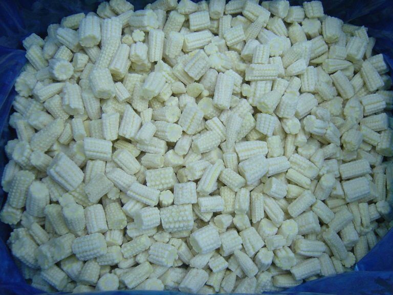 iqf baby corn cut