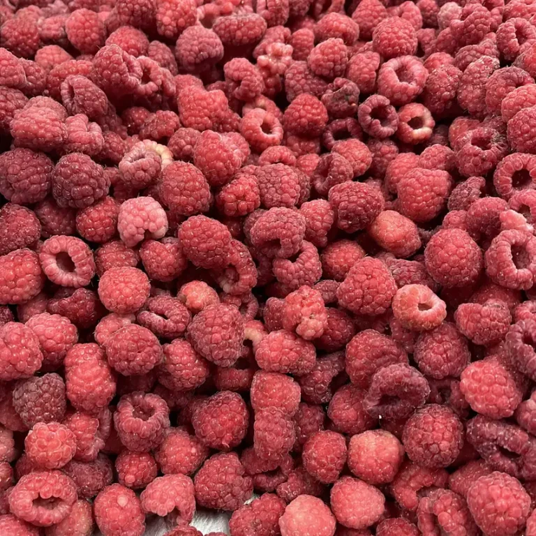 Ha6bec95ff5a04f258828388dc02f3690s