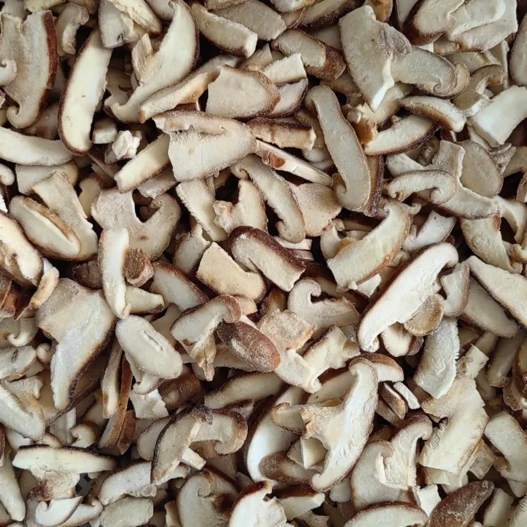 Hc00065f433e1418cbde9efa0ee40abb9j