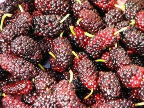 u=450757282,583530152&fm=27&gp=0